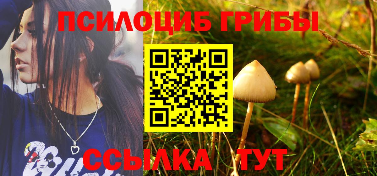 Галлюциногенные грибы ЛСД  Вход с VPN  Ревда  купить  цена  Галлюциногенные грибы ЛСД 