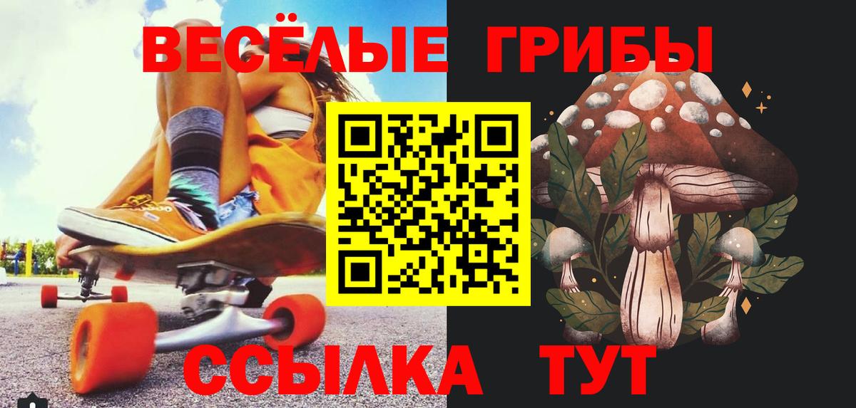 Галлюциногенные грибы Cubensis Ревда